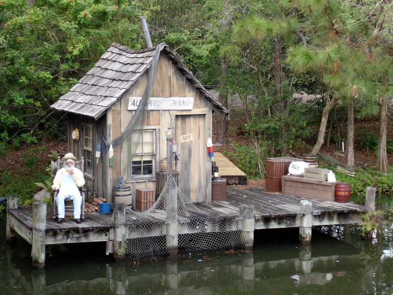 Alligator Swamp