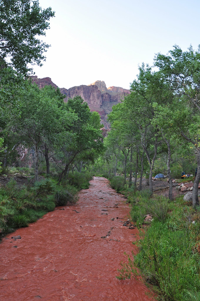 Grand Canyon National Park: Bright Angel Creek Flashing 0674