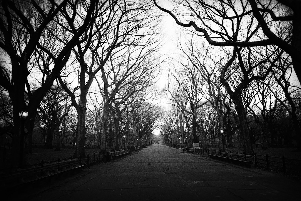 Central Park Autumn