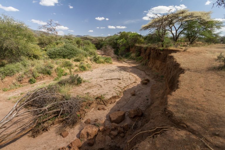 Dried riverbed in Masai land